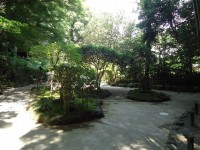/album/kamakura1/dsc02973-jpg1/