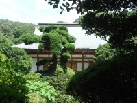 /album/kamakura1/dsc02979-jpg1/